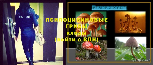 шишки Нягань