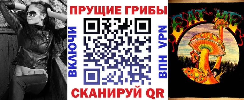 Псилоцибиновые грибы Psilocybine cubensis  Сортавала 