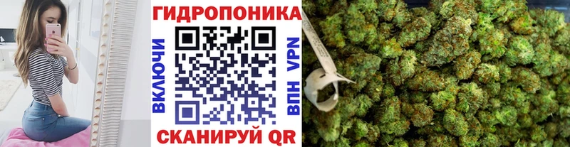 МАРИХУАНА ГИДРОПОН Сортавала